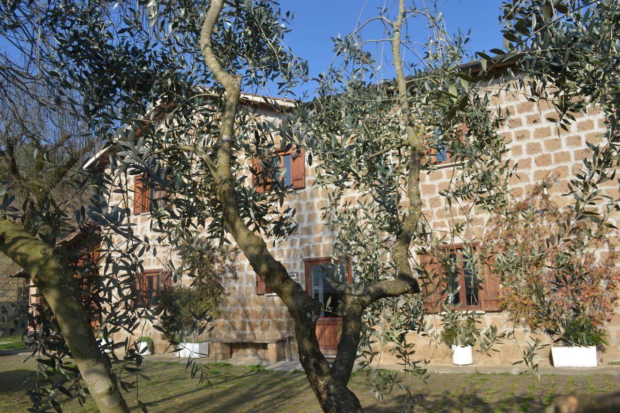 Agriturismo Le Forre Del Treja Civita Castellana Kültér fotó